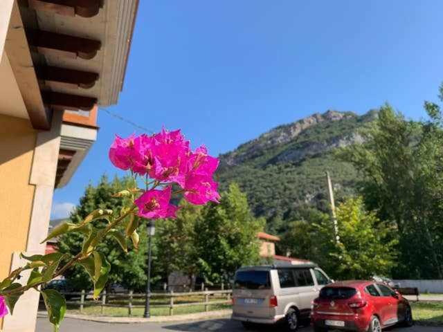 Cumbres De Los Picos Apartamento Treparriscos Poo  Dış mekan fotoğraf